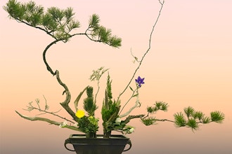 Floral Design Showcase: The Art of Ikenobo Ikebana